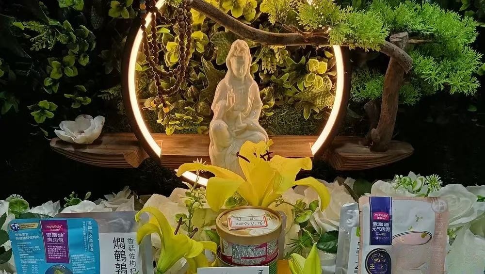 南海天旅宠物善终